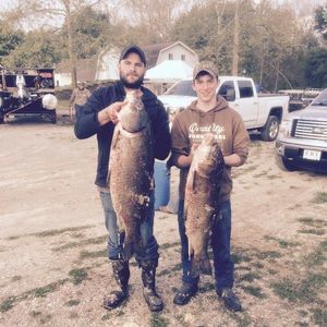 Meet your Posher, Austin